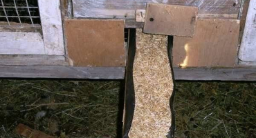 Jak vyrobit krmítko pro králíky: přehled možností a příklady výroby